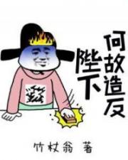 陛下何故造反